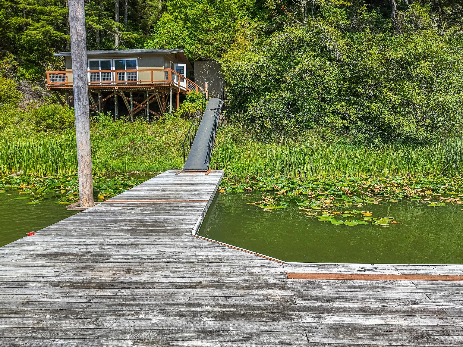Boat-Access Cabin on a Private Cove of Tenmile Lake
